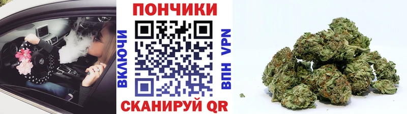 Купить закладки  Раменское  Шишки марихуана марихуана 